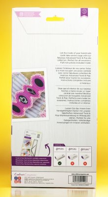 227 Papercraft die "Ordonate frame"