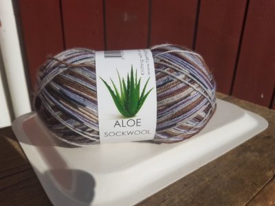 aloe-vera-garn